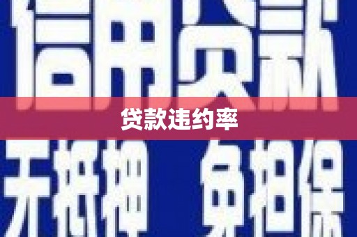 西盟贷款违约率