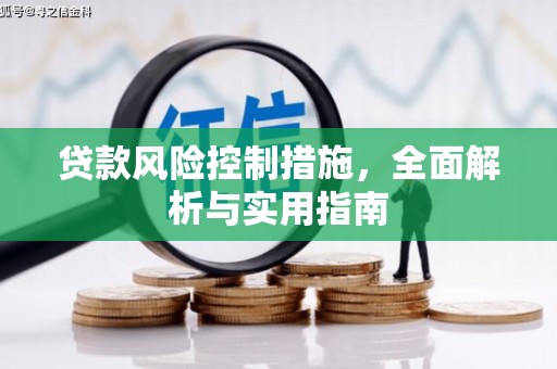 西盟贷款风险控制措施，全面解析与实用指南