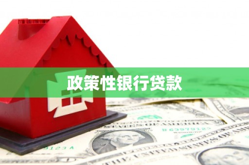 西盟政策性银行贷款