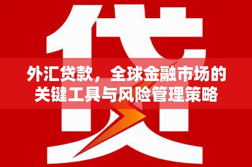 西盟外汇贷款，全球金融市场的关键工具与风险管理策略