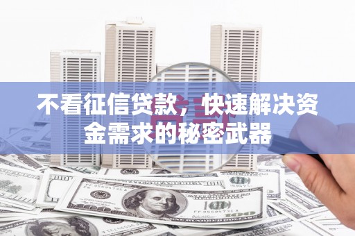 西盟不看征信贷款，快速解决资金需求的秘密武器