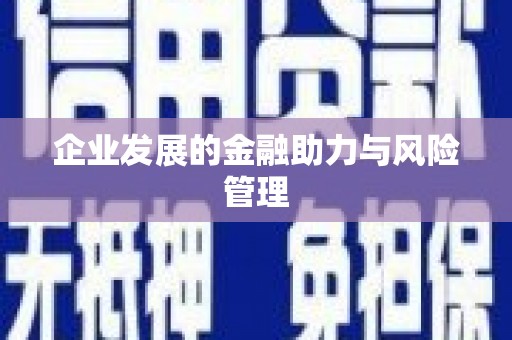 西盟企业发展的金融助力与风险管理