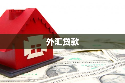 西盟外汇贷款