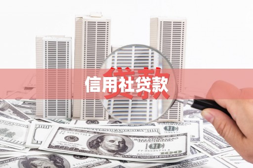 西盟信用社贷款