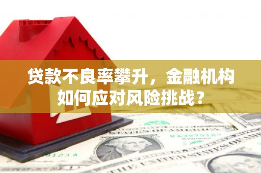 西盟贷款不良率攀升，金融机构如何应对风险挑战？