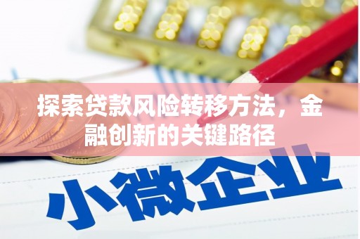 西盟探索贷款风险转移方法，金融创新的关键路径