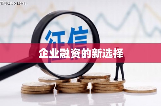 西盟企业融资的新选择