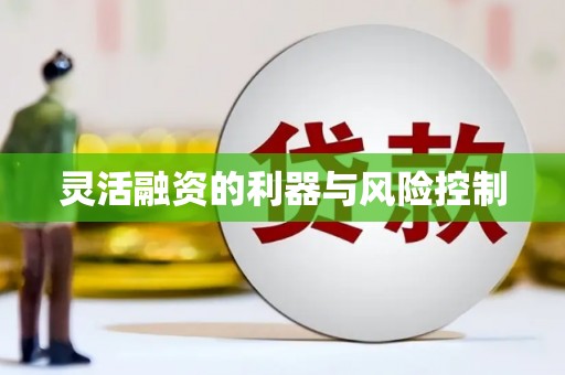 西盟灵活融资的利器与风险控制