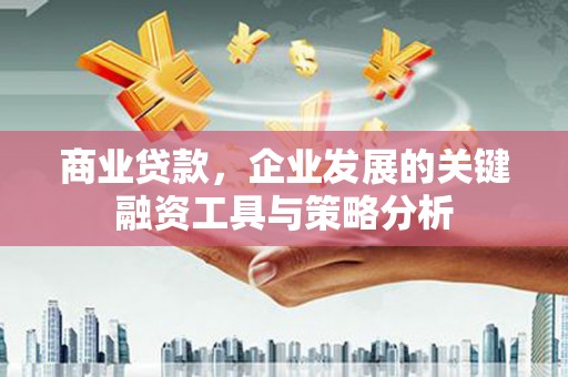西盟商业贷款，企业发展的关键融资工具与策略分析