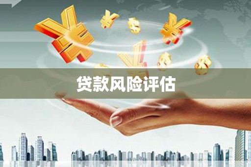 西盟贷款风险评估