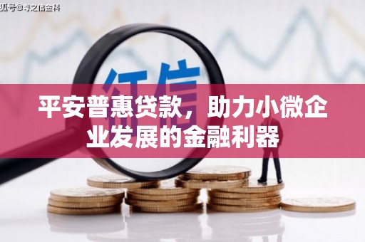 西盟平安普惠贷款，助力小微企业发展的金融利器