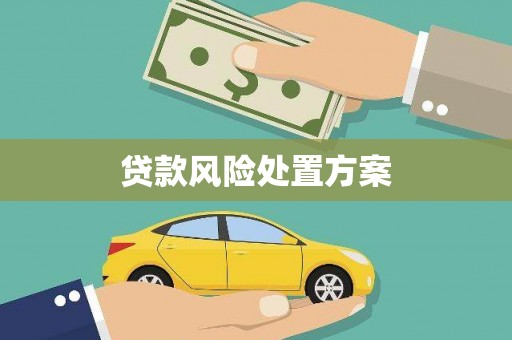 西盟贷款风险处置方案