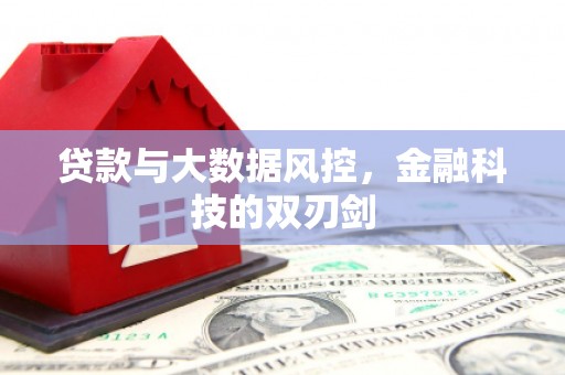 西盟贷款与大数据风控，金融科技的双刃剑