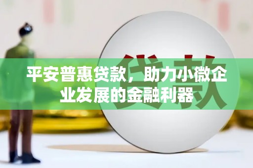 西盟平安普惠贷款，助力小微企业发展的金融利器