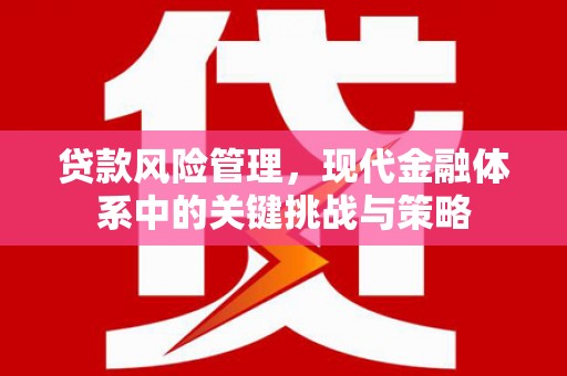 西盟贷款风险管理，现代金融体系中的关键挑战与策略