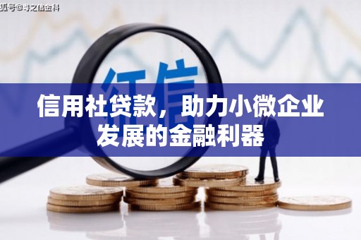 西盟信用社贷款，助力小微企业发展的金融利器