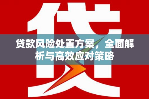 西盟贷款风险处置方案，全面解析与高效应对策略