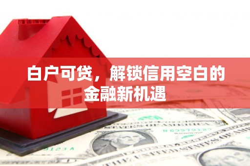 西盟白户可贷，解锁信用空白的金融新机遇