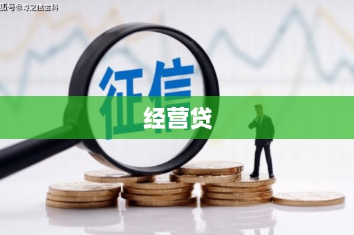 西盟经营贷