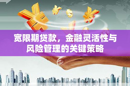 西盟宽限期贷款，金融灵活性与风险管理的关键策略