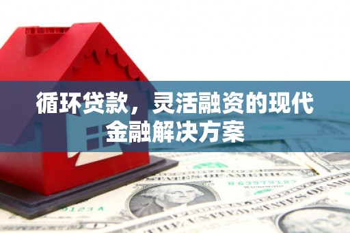 西盟循环贷款，灵活融资的现代金融解决方案