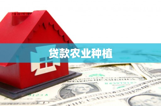 西盟贷款农业种植