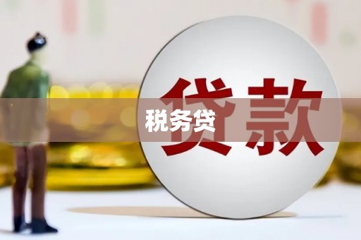 西盟税务贷