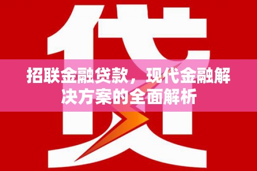 西盟招联金融贷款，现代金融解决方案的全面解析