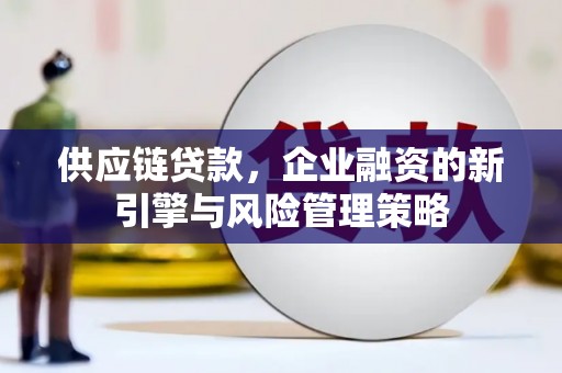 西盟供应链贷款，企业融资的新引擎与风险管理策略