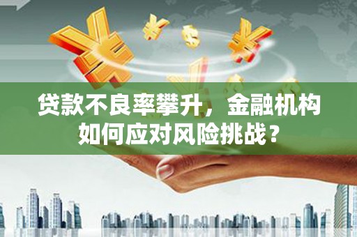 西盟贷款不良率攀升，金融机构如何应对风险挑战？