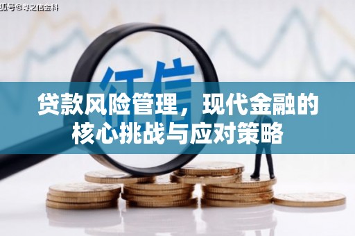 西盟贷款风险管理，现代金融的核心挑战与应对策略