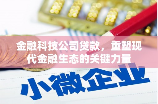 西盟金融科技公司贷款，重塑现代金融生态的关键力量
