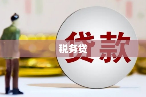 西盟税务贷