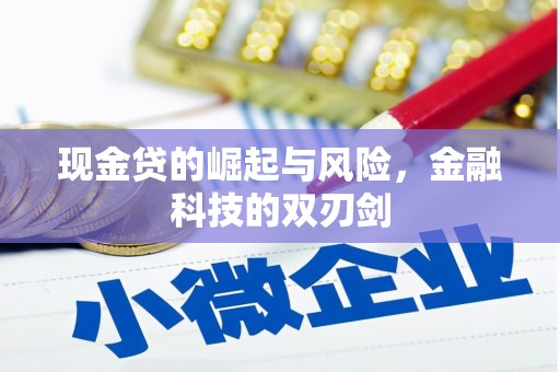 西盟现金贷的崛起与风险，金融科技的双刃剑