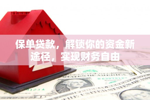 西盟保单贷款，解锁你的资金新途径，实现财务自由