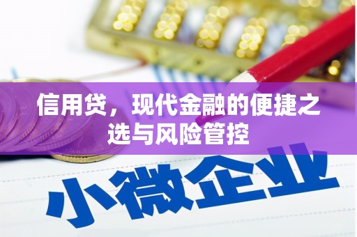 西盟信用贷，现代金融的便捷之选与风险管控