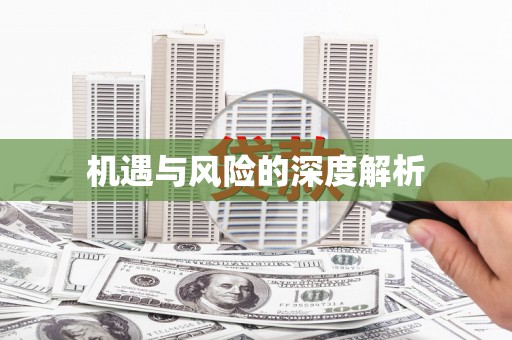 西盟机遇与风险的深度解析