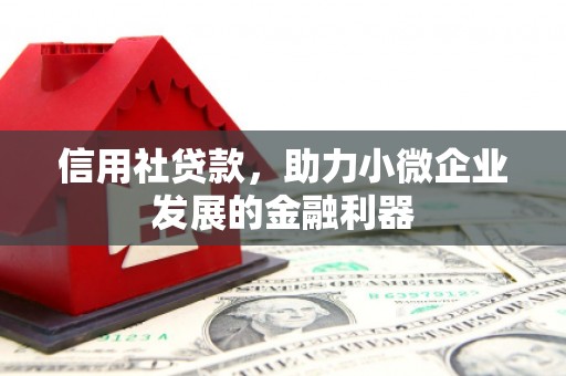 西盟信用社贷款，助力小微企业发展的金融利器