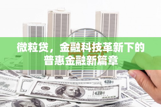 西盟微粒贷，金融科技革新下的普惠金融新篇章