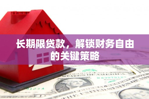 西盟长期限贷款，解锁财务自由的关键策略