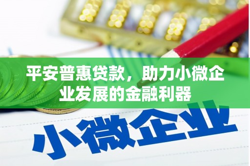 西盟平安普惠贷款，助力小微企业发展的金融利器