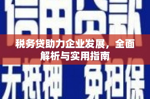 西盟税务贷助力企业发展，全面解析与实用指南