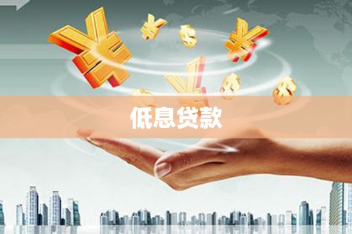 西盟低息贷款