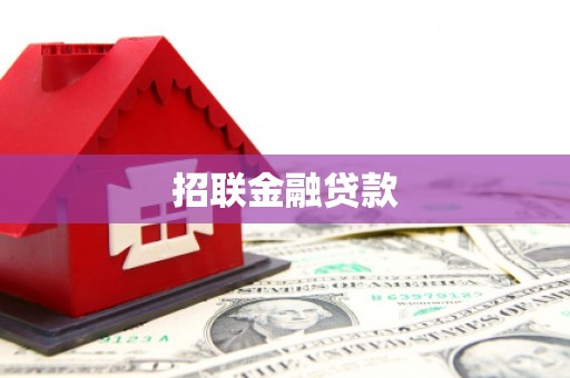 西盟招联金融贷款