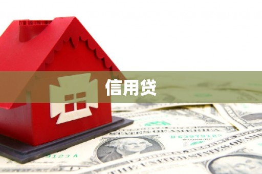 西盟信用贷
