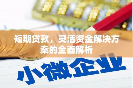 西盟短期贷款，灵活资金解决方案的全面解析
