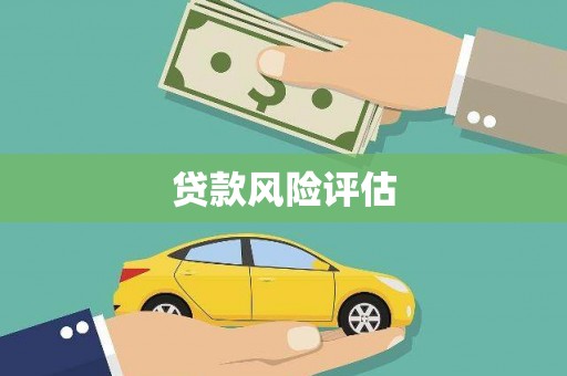 西盟贷款风险评估