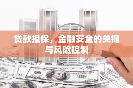 西盟贷款担保，金融安全的关键与风险控制
