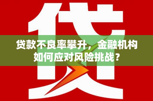 西盟贷款不良率攀升，金融机构如何应对风险挑战？