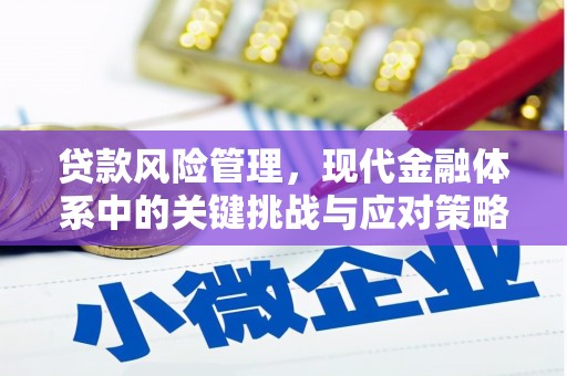 西盟贷款风险管理，现代金融体系中的关键挑战与应对策略